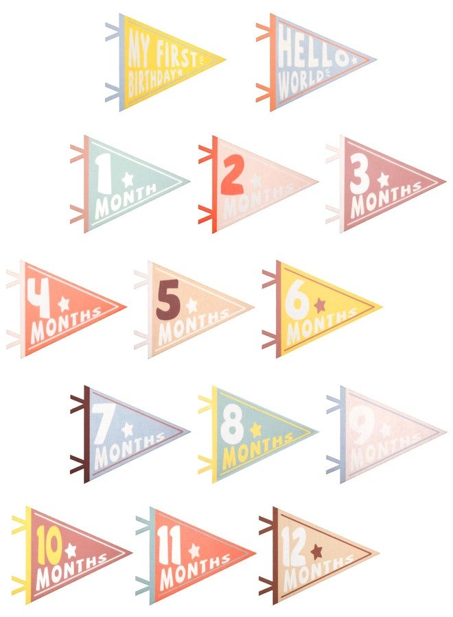 PEUTIER 14pcs Baby Milestone Flags, Felt Monthly Milestone Pennant Flag Colorful Baby Milestone Signs for Newborn Baby Shower 1st Birthday Party Decorations (Pattern 1) - Image 1